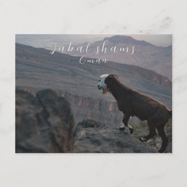 Jabal Shams oman vycard Vykort (Framsida)