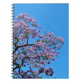 Jacaranda Anteckningsbok