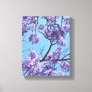Jacaranda-Blommar Canvastryck