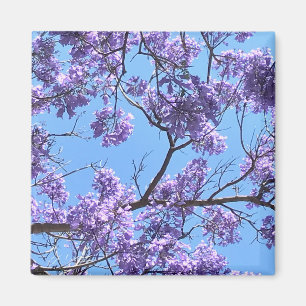 Jacaranda Blommars Magnet