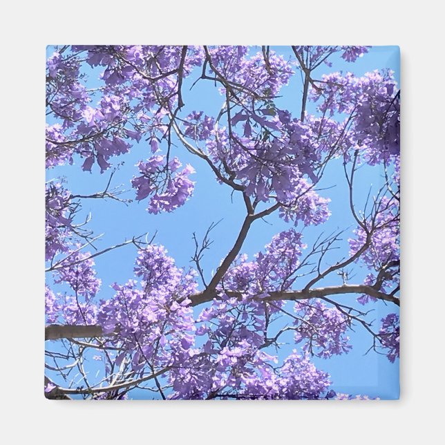 Jacaranda Blommars Magnet (Framsidan)