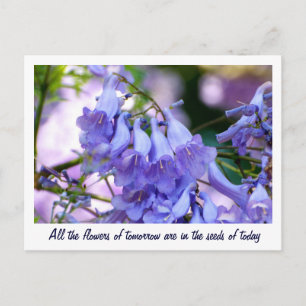 Jacaranda Blommars Vykort
