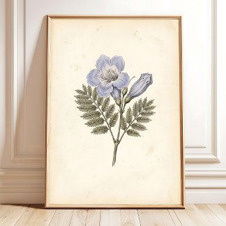 Jacaranda Botanisk Konsttryck Zazzle Väggkonst