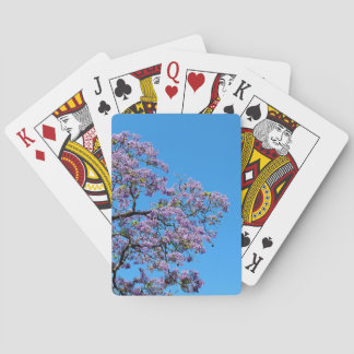 Jacaranda Casinokort