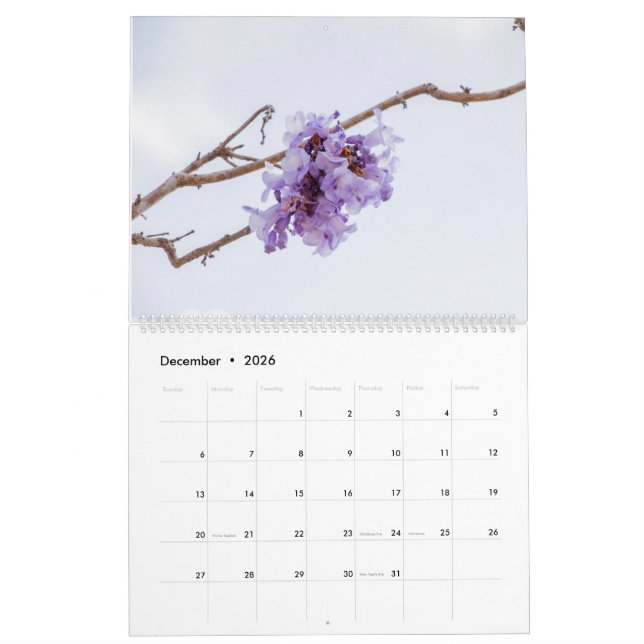 Jacaranda Flower Calendar Kalender (Dec 2026)
