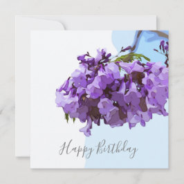 Jacaranda Flowers mot blå himmel bakgrund