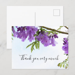 Jacaranda Lila blommor Australien vid träd Vykort