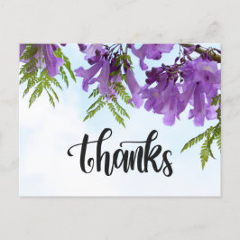 Jacaranda Lila blommor blomstrar på träd Vykort