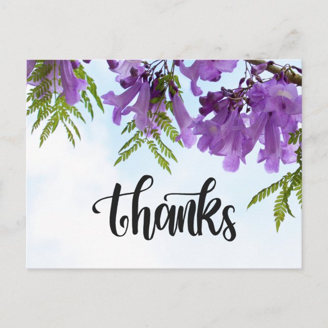 Jacaranda Lila blommor blomstrar på träd Vykort (Framsida)