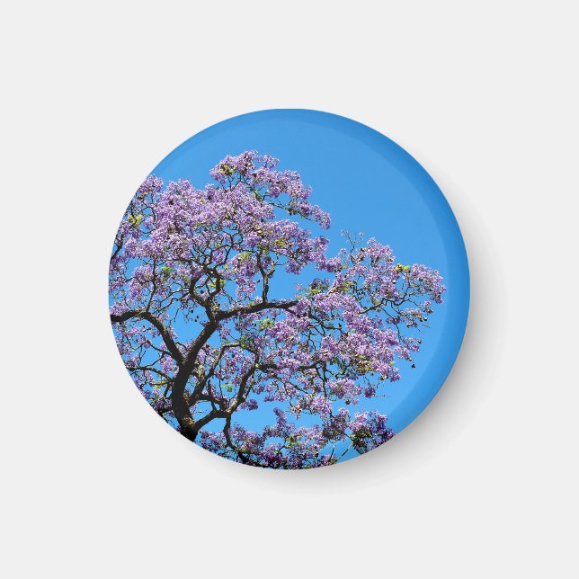 Jacaranda Magnet (Framsidan)