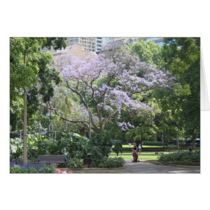 Jacaranda Träd Hälsningskort