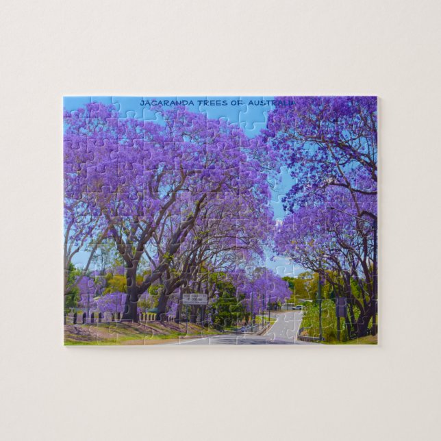 Jacaranda Träd i Australien Pussel (Horisontell)