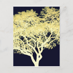 Jacaranda Tree Vykort