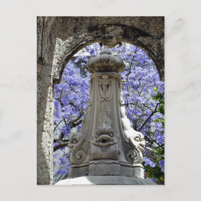 Jacarandi Vykort (Framsida)