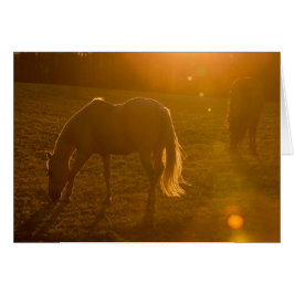 Jaci & Ava Hälsningskort