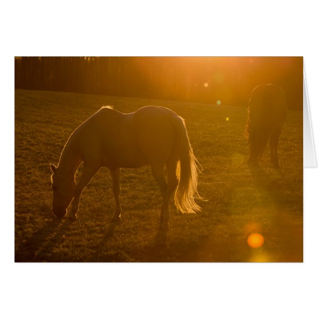 Jaci & Ava Hälsningskort (Framsidan Horizontal)