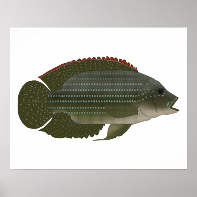 Jack Dempsey Poster (Framsidan)