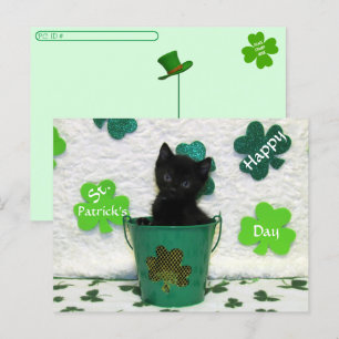 Jack för postpassage Handsome = Cat St. Patrick's Vykort