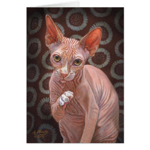 Jack för Sphynx Sphinxkatt Hälsningskort