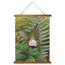 Jack i Pulpit- och Woodland Plants Botanical