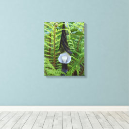 Jack i Pulpit Woodland Plant Blommigt Canvastryck