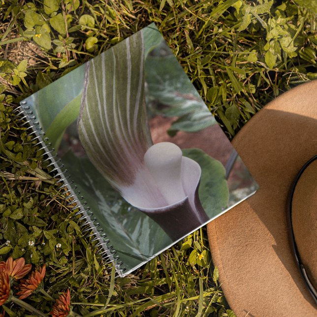 Jack-in-the-Pulpit Plant-Blommigt Anteckningsbok Med Spiral (In Situ)
