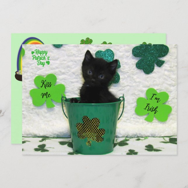 Jack - Katt/Kitten St. Patrick's Day (Fram/baksida)