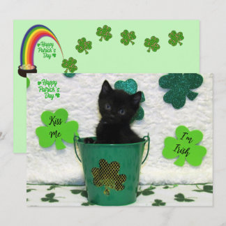 Jack - Katt/Kitten St. Patrick's Day
