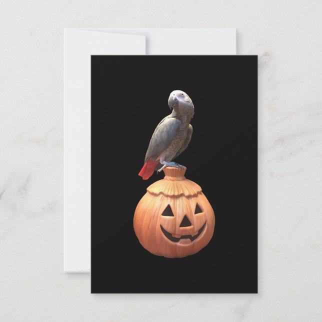 Jack-O-Lantern Halloween African Grått Parrot Kort (Framsida)