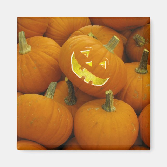 Jack-O-Lantern i en pipa Magnet (Framsidan)