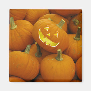 Jack-O-Lantern i en pumpdocka Magnet