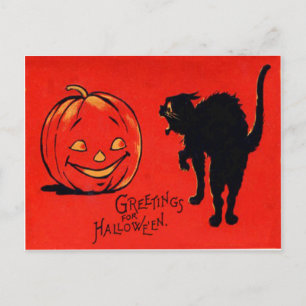 Jack O Lantern Pumpa Svart Katt Vykort