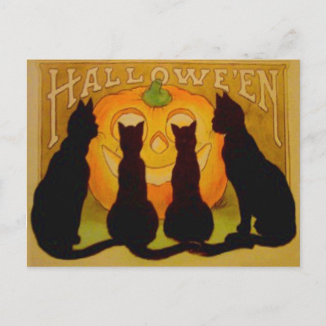 Jack O Lantern Pumpa Svart Katt Vykort (Framsida)