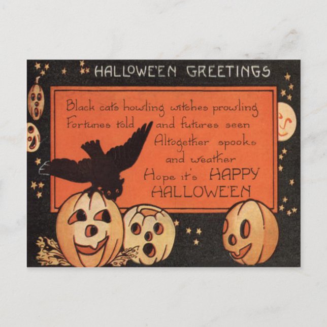 Jack O' Lantern Pumpa Ugglor Stjärnor Vykort (Framsida)