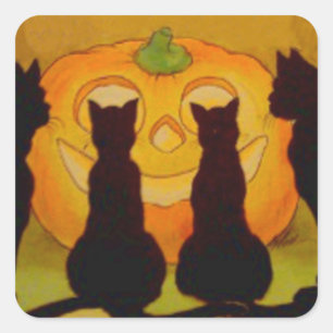 Jack o lantern Pumpkin Black Cat Fyrkantigt Klistermärke