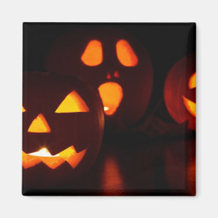 Jack-O-Lantern Pumpkins Magnet
