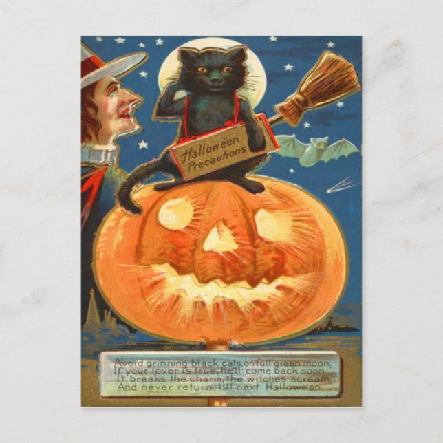 Jack O Lantern Svart Katt Häxa Fladdermus Vykort (Framsida)