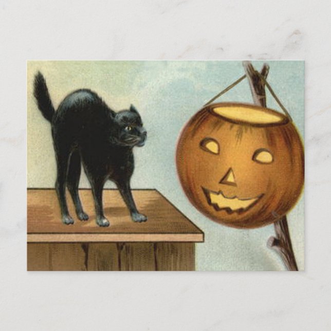 Jack O' Lantern Svart Katt Pumpa Vykort (Framsida)