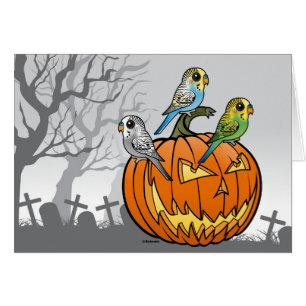 Jack O'Budgies Hälsningskort