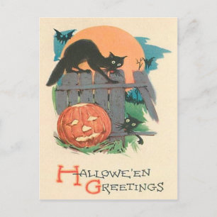 Jack O'Lantern Black Cat Fladdermus Full Moon Vykort