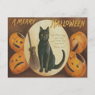 Jack O'Lantern Pumpkin Black Cat Broom Vykort