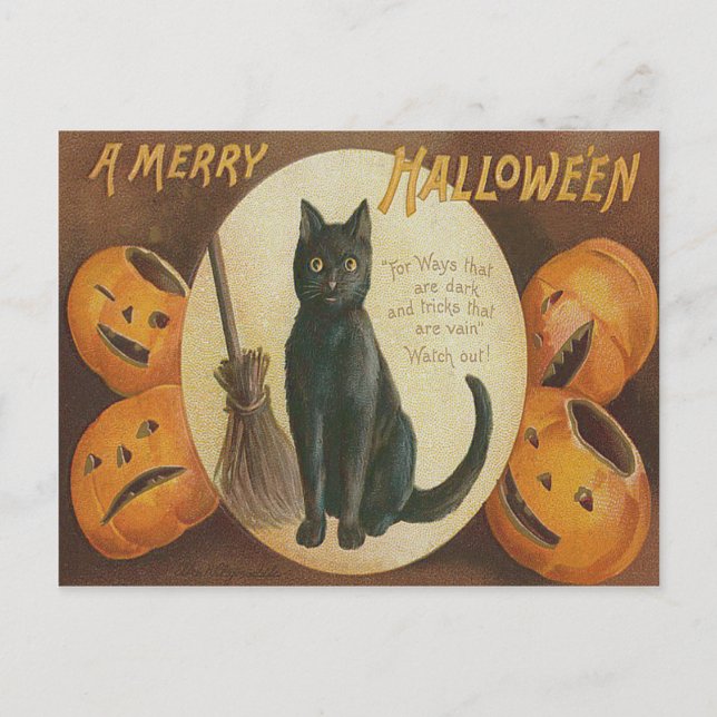 Jack O'Lantern Pumpkin Black Cat Broom Vykort (Framsida)