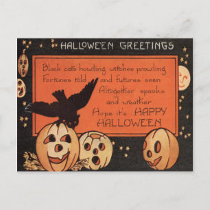 Jack O'Lantern Pumpkin Uggla Stars Vykort