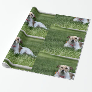Jack Presentpapper