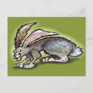 Jack Rabbit Vykort
