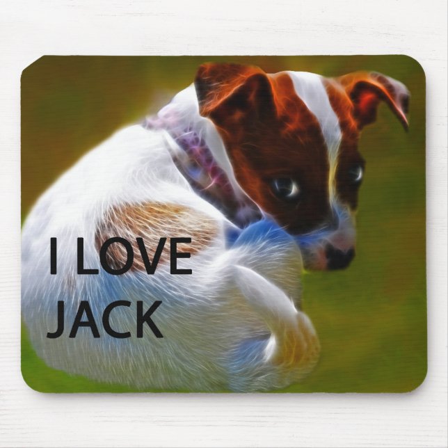 Jack Rusell Puppy Musmatta (Framsidan)