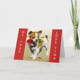 JACK RUSSEL ANPASSNINGSBAR VALENTINS KORT