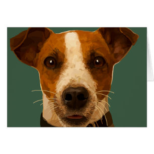 Jack Russel Cosby Card OBS Kort