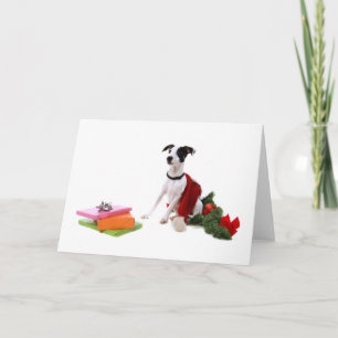 jack russel och jul. helgkort