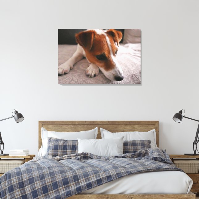 Jack Russel Terier Canvastryck (Insitu (sovrum))